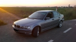 Balint88