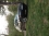 Janeee318d